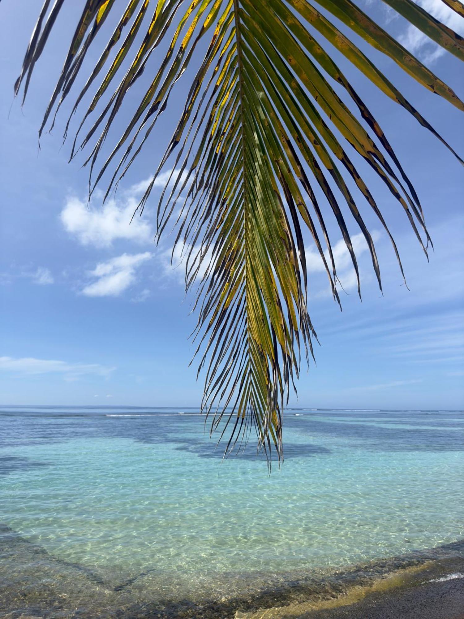 Unique : Pieds Dans L'Eau Face Au Lagon Sainte-Anne  Ngoại thất bức ảnh